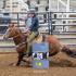 Tennessee High School Rodeo